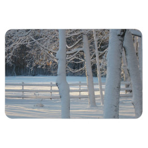 Landweidenmagazin Magnet