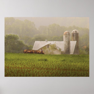 Landwirtschaft - Amish Farming Poster