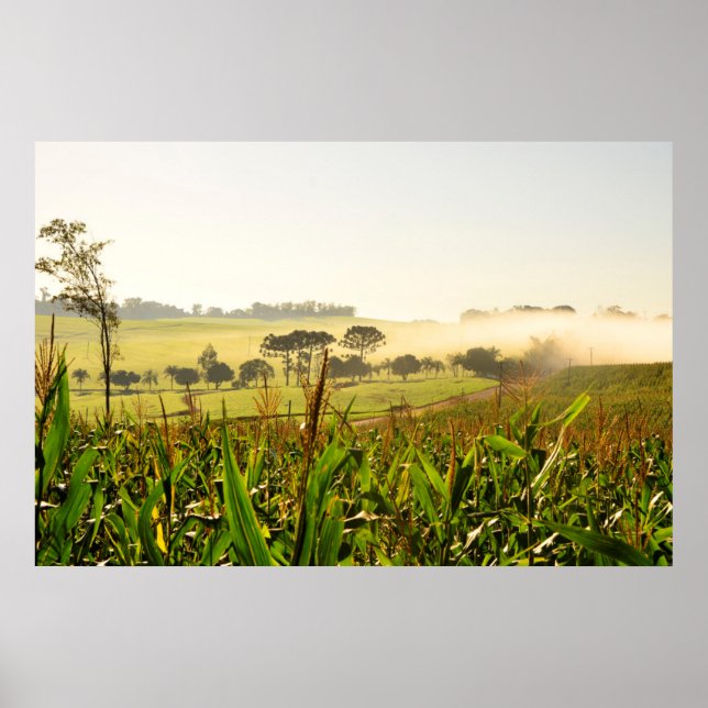 Landwirtschaft Brasilien Poster (Vorne)