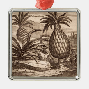 Landwirtschaft der großen Ananas, Illustration vo Ornament Aus Metall