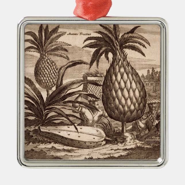 Landwirtschaft der großen Ananas, Illustration von Ornament Aus Metall (Vorne)