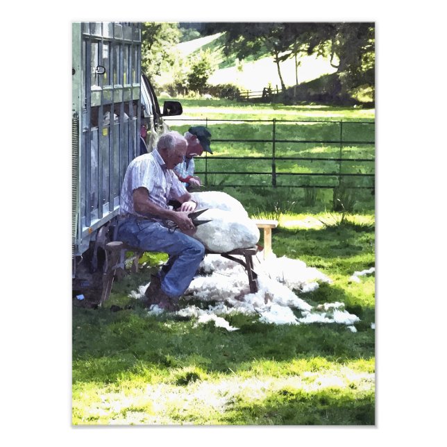 LANDWIRTSCHAFT FOTODRUCK (Vorne)