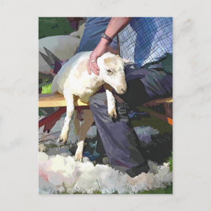 LANDWIRTSCHAFT POSTKARTE