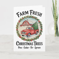 Landwirtschaftlich frische Weihnachtsbäume Alter r
