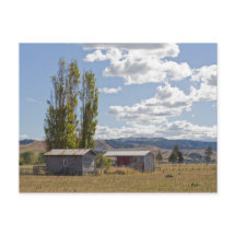 Landwirtschaftliche Betriebe in Neuseeland Postkar