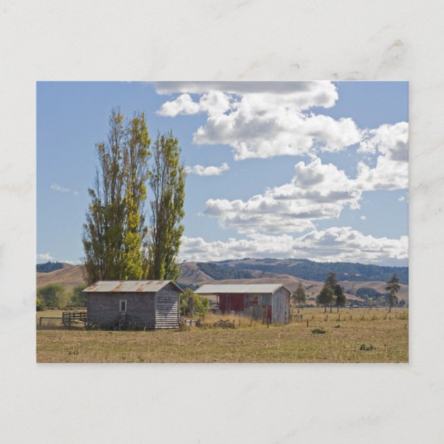 Landwirtschaftliche Betriebe in Neuseeland Postkar Postkarte (Vorderseite)