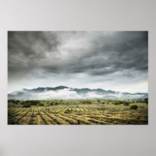 Landwirtschaftliche Kulturfelder unter bewölktem H Poster