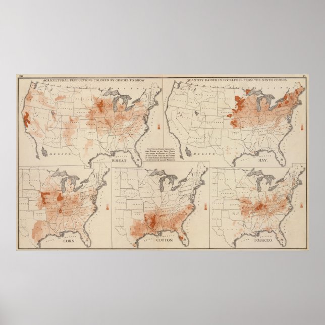 Landwirtschaftliche Produktion in den USA Poster (Vorne)