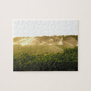Landwirtschaftliches Bewässerungssystem, das 2 Puzzle