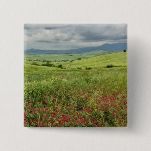 Landwirtschaftliches Feld, Region Toskana in Itali Button