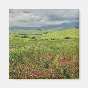 Landwirtschaftliches Feld, Toskana Region von Ital Magnet