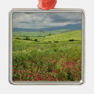 Landwirtschaftliches Feld, Toskana Region von Ital Silbernes Ornament