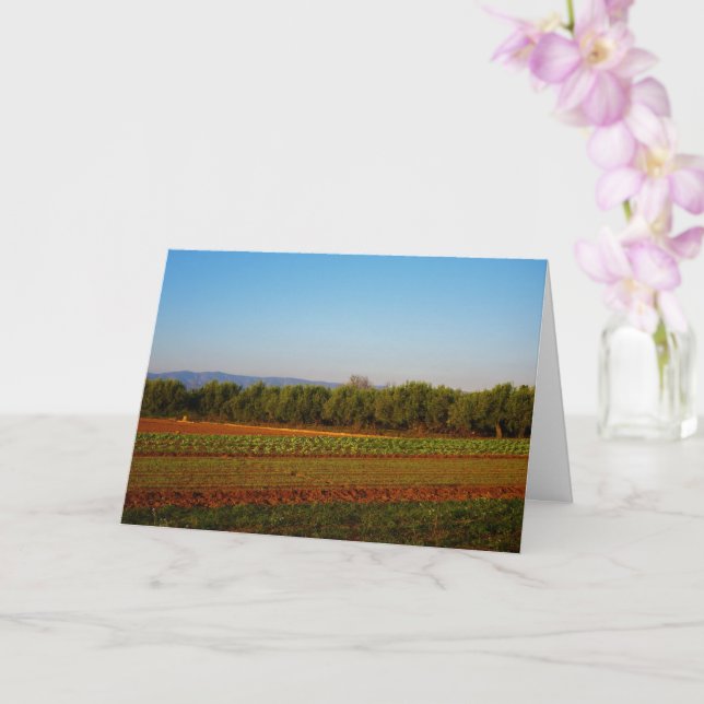 Landwirtschaftliches Land in Valencia, Spanien Karte (Orchidee)