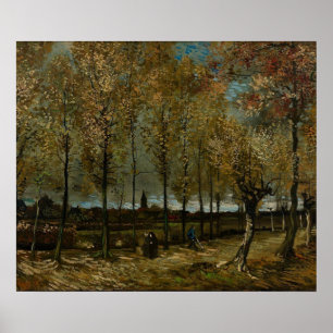 Lane mit Poplars bei Nuenen - Van Gogh - c1885 Poster