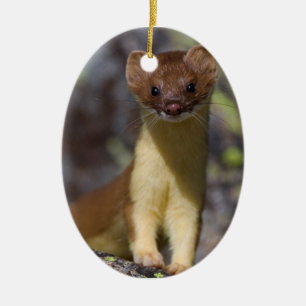 Lang-angebundener Weasel Keramikornament