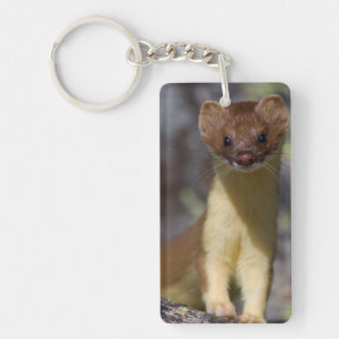 Lang-angebundener Weasel Schlüsselanhänger