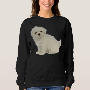 Lang beschichteter weißer Welpe maltesischer Hund  Sweatshirt