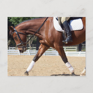 lang und niedrig postkarte