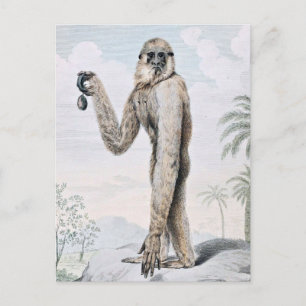Langarmiger Gibbon-Affe-Kunst Postkarte
