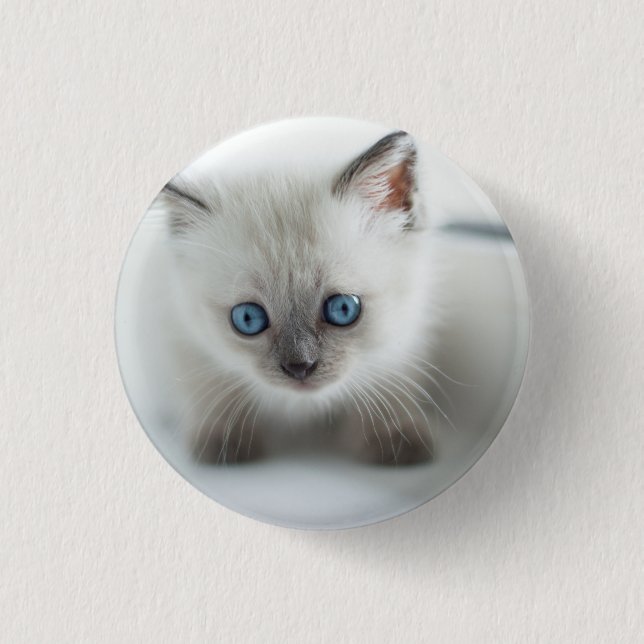 Lange für dich: Lost white Kitten mit blauen Augen Button (Vorderseite)