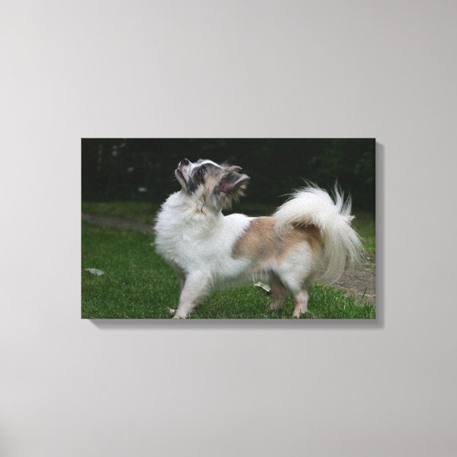 Lange Haahaaaaaaa Blick auf Kamera Leinwanddruck (Vorderseite)