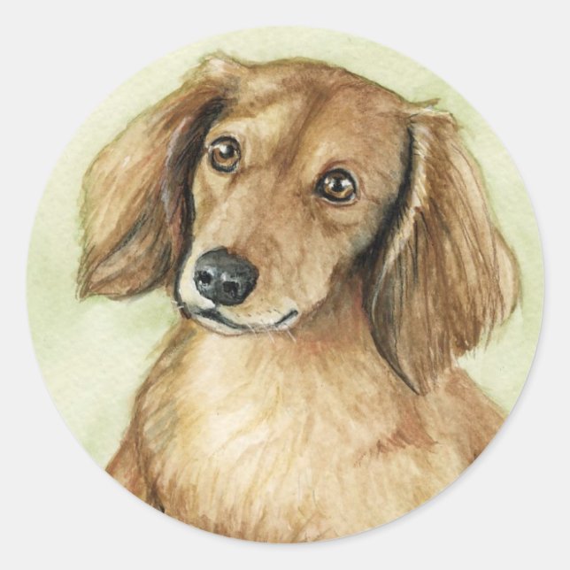 "Lange Haare Dackel" Hunde Art Stickers (Vorderseite)