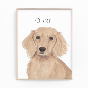 Lange Haare Englische Rote Dackel Kunst Fotodruck