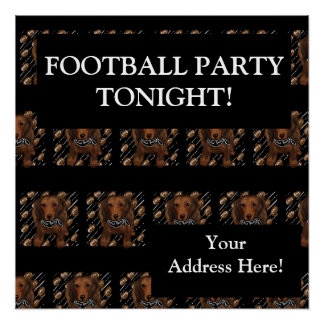 LANGE HAIRED RED DACKEL POSTER