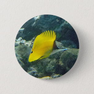 Lange Nasen-Schmetterlings-Fische Button