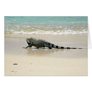 Lange Spaziergänge am Strand