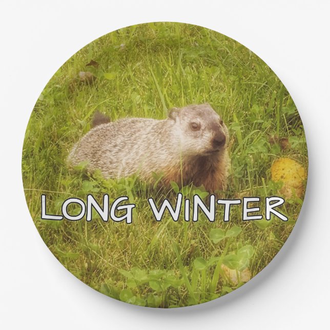 Lange Teller (Vorderseite)