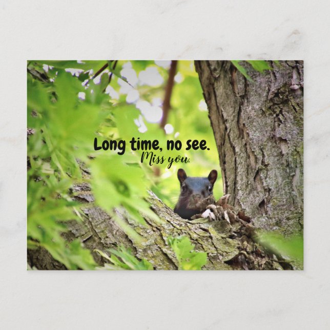 Lange Zeit, keine Postkarte sehen (Vorderseite)