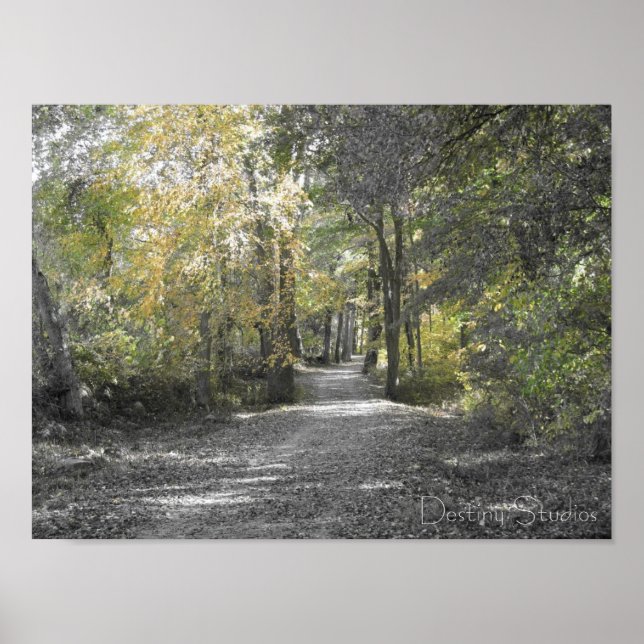 langer Weg Poster (Vorne)