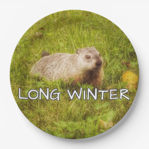 Langer Winter-Teller Pappteller