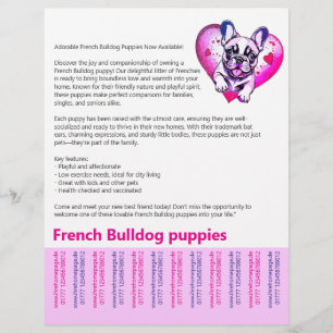 Langes Lesen Französische Bulldogge Welpen Flyer 