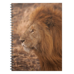 LANGFRISTIGER LON NOTIZBLOCK