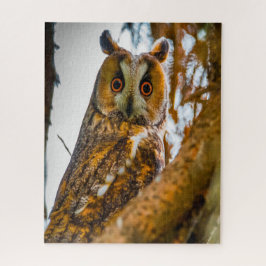Langgezogenes Eulenvogel - Raubvögel. Puzzle