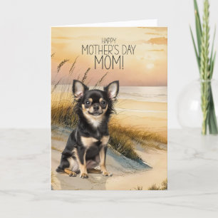 Langhaar Chihuahua Hund Sonnenuntergang Strand Mut Feiertagskarte