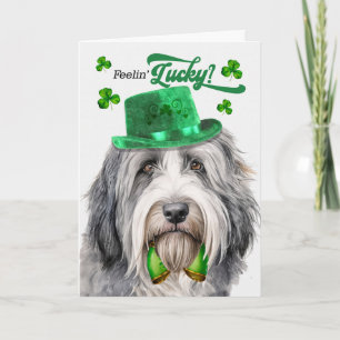 Langhaar Collie Hund Glücklicher St. Patricks Tag Feiertagskarte