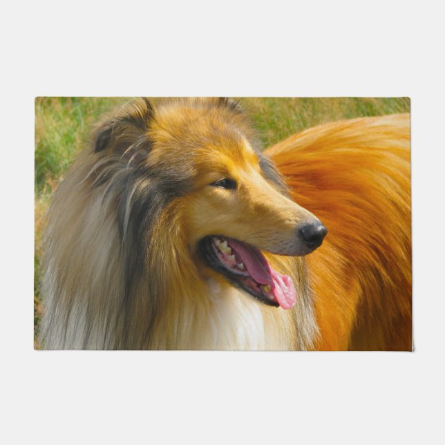 Langhaarcollie. Fußmatte (Vorderseite)