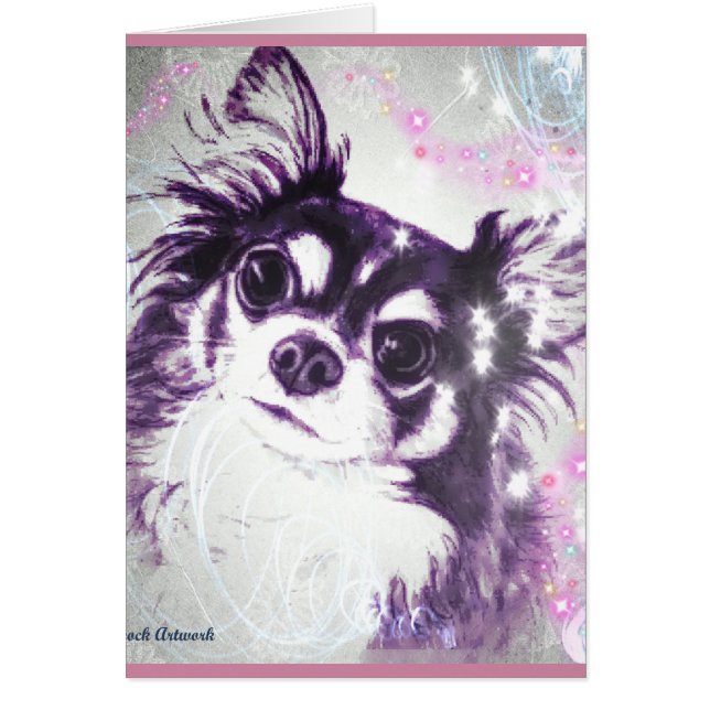 Langhaarige Chihuahua (Vorne)