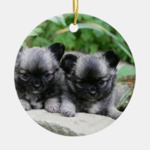 Langhaarige Chihuahua-Welpen Keramikornament