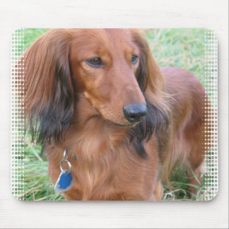 Langhaarige Dackel-Mausunterlage Mousepad