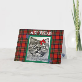 Langhaarige exotische Katze Frohe Weihnachtskarte Feiertagskarte