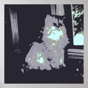 Langhaarige graue Kitty Cat Poster