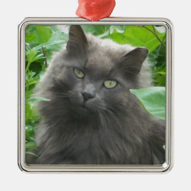 Langhaarige graue Russische blaue Katze Ornament Aus Metall (Vorne)