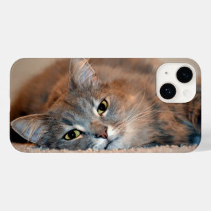 Langhaarige Russische Blaue Katze von Shirley Tayl Case-Mate iPhone 14 Hülle