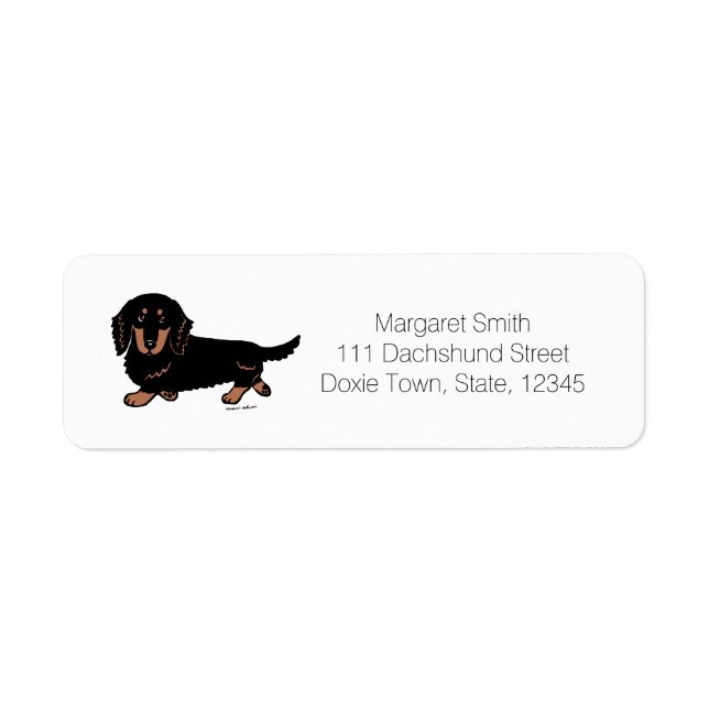 Langhaarige Schwarz-Tan-Dachshund 1 (Vorne)