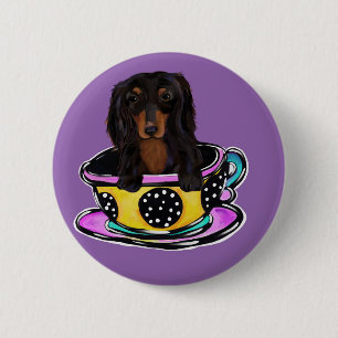 Langhaarige schwarze Doxie Button