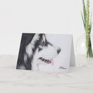 Langhaariger alaskischer Malamute Karte